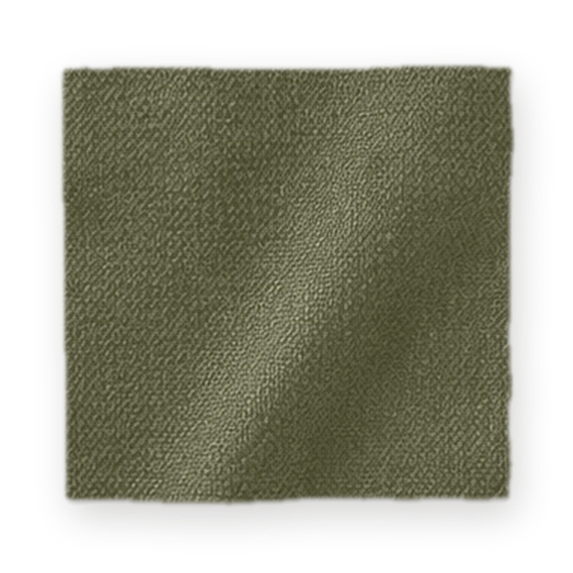 Olive outdoor canvas